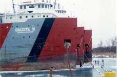 ( showing The awesome size Of these fellas )