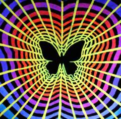 Butterfly Effect