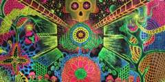 Space Dimension