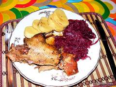 pečen� divok� kachna se zel�m