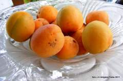 Z vlastn� �rody milovan� ovoce meruňky