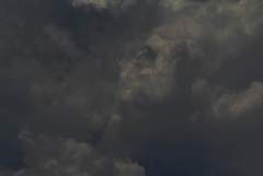 Dark