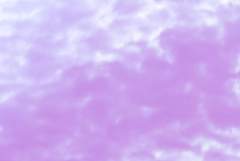 Pink? Purple?