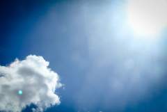 Sunny Day