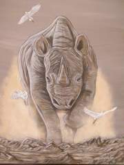 "Right of Way" African Rhino and Egrets