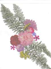 pressed flower collage