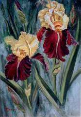 Royalty Iris
