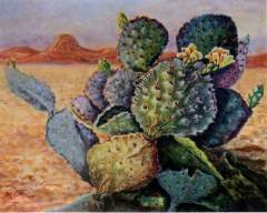 Southwest Pricly Pear