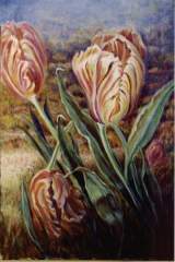 The Tulips Of Tuscany