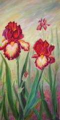 Caribbean Queen - Iris