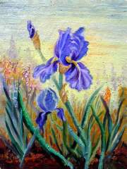 Blue Iris