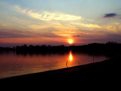 Springfield Lake - Sunset