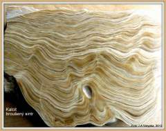 Kamenný archiv - kalcit