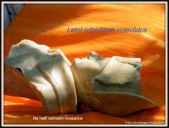 Spící vojevůdce - je nejlepší