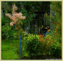 Kouzlo večera v zahradě