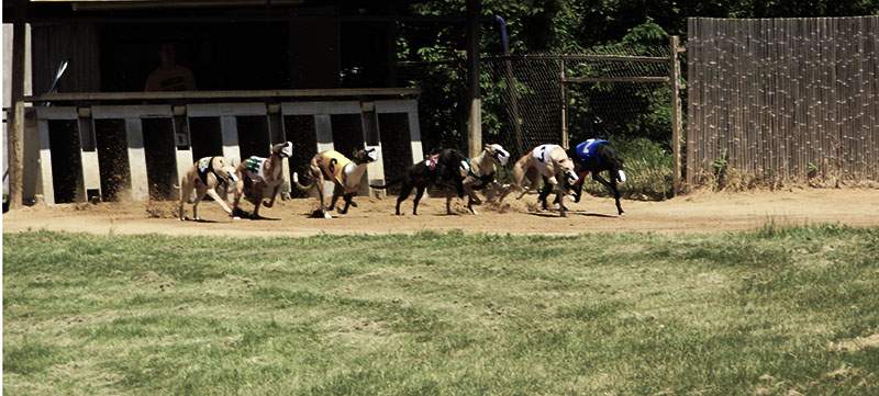 Race tracks