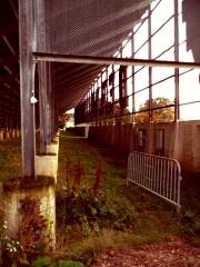 Soap Box Derby Bleachers