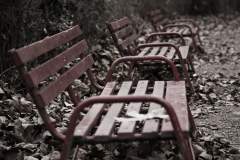 Bench