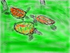 TURTLE ISLAND
