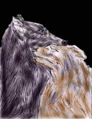 LOVE, HONOR AND OBEY