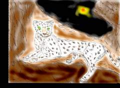 LEOPARD'S LAIR