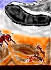 ANT FARM FORE CLOSER