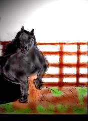 FROM THE DARKNESS...