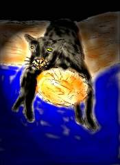 PANTHER, JUST HANGING IN THERE....