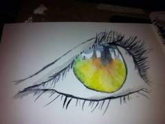 Eye