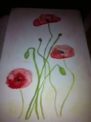 Red Poppies