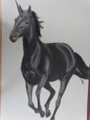 black unicorn