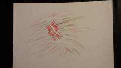 A blood roach