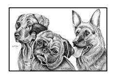 Art Subject : Loyal Friends ...