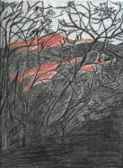 Mountain top
