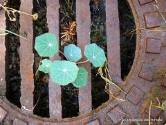 život za mřížemi