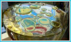 víno a olejP1600923.JPG