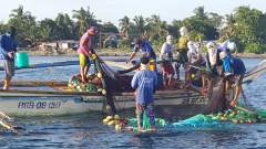Ninja fishermen at work hauling their nets!