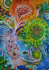 My psychedelic brain