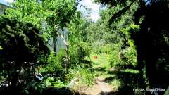 Quiet sanctuary - a beautiful natural garden