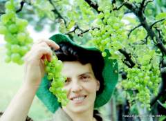 Manželka Yvonna
