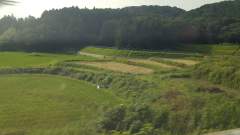 新幹線の窓口から外え見る。美しの景色です (Looking out of the window on the Shinkansen)