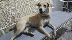 Sara making herself perfectly at home!