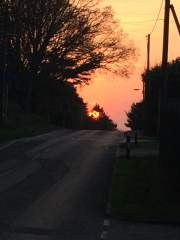 Winter Sunset over Whitehill in Hampshire - South of England, UK