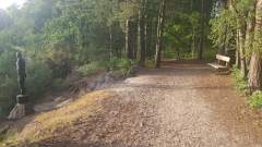 A bench in the woods: The perfect spot!