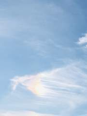 Angelfish cloud over Hampshire