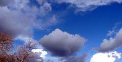 Deep blue sky with aeroplane and cumulous clouds