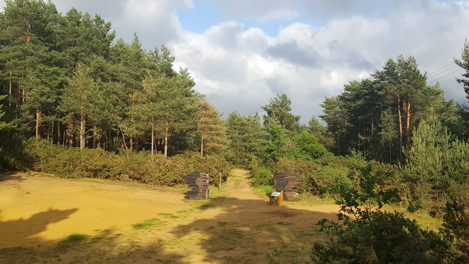 The statues: Hogmoor Inclosure photos