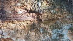 Interesting textures and colours of a sandstone rock face