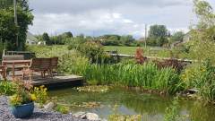 Beautiful Somerset koi pond, garden and farmland scenery