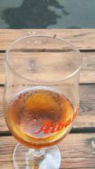 A drunken fly!